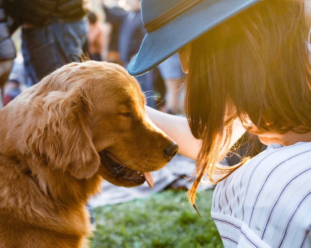 dog care