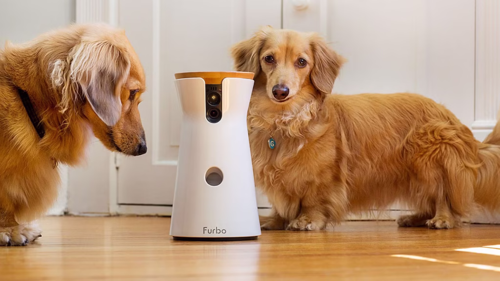 dog gadgets