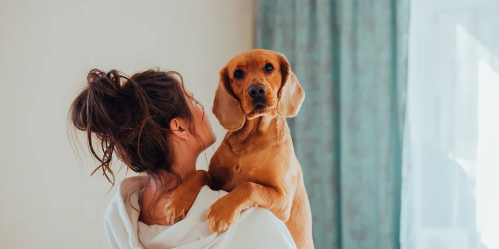 dog parenting tips
