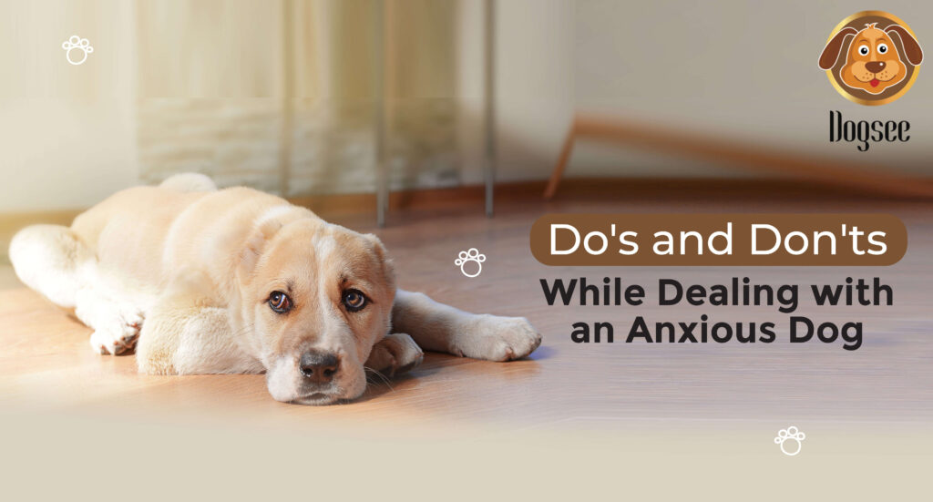 dog parenting tips