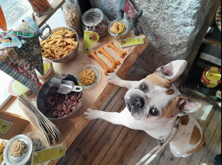 healthy dog nutrition
