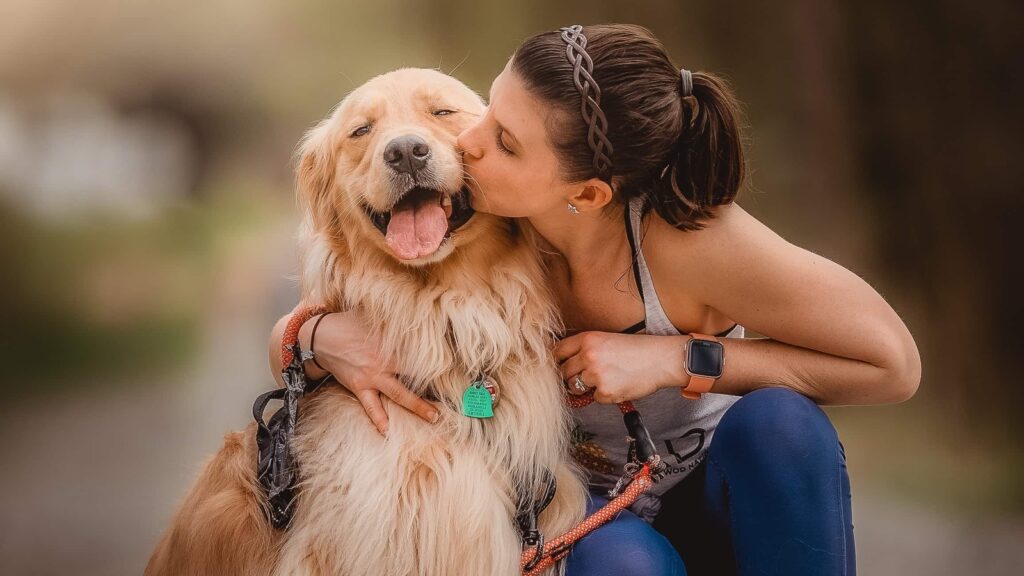 dog training