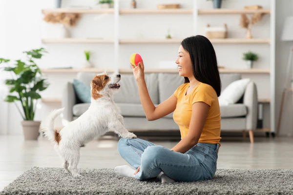 build bond with dog