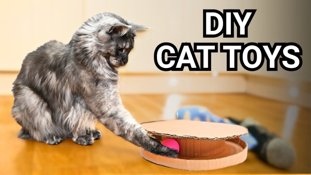 DIY cat toys